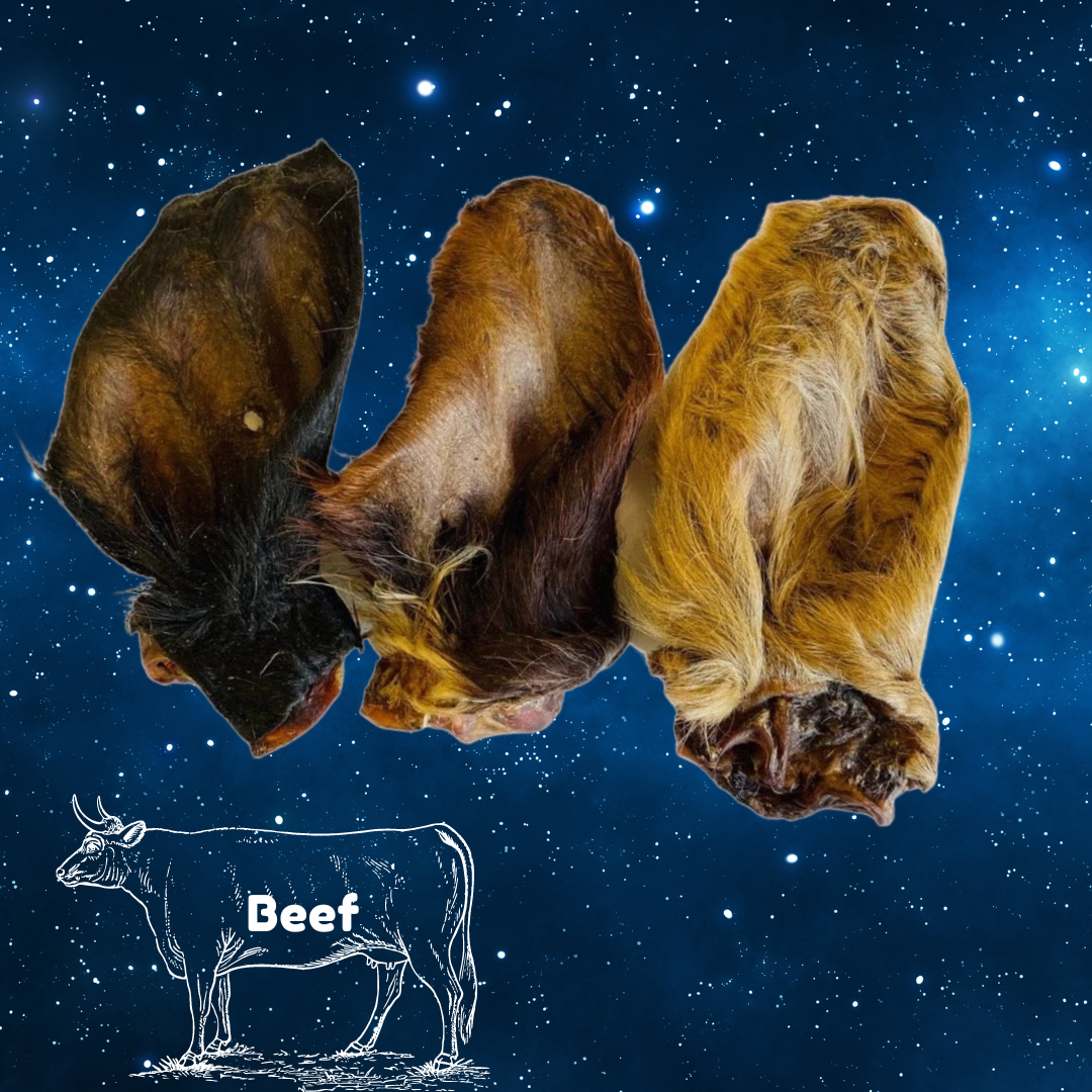 Pup Planet Deli - Hairy Cow Ear (single)