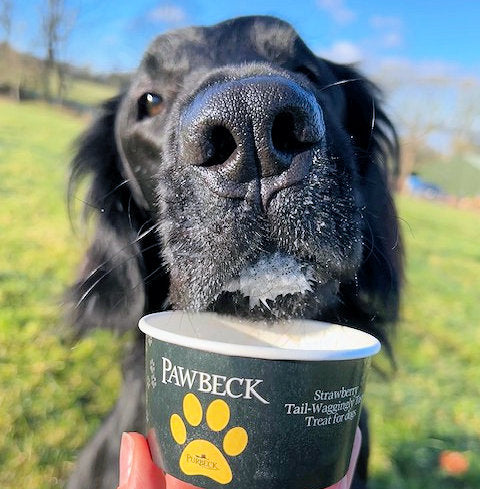 Pawbeck Dog Ice Cream (frozen)