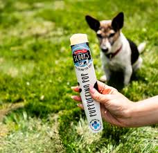 Scoops Dog Puppuccino Ice Pop (frozen)