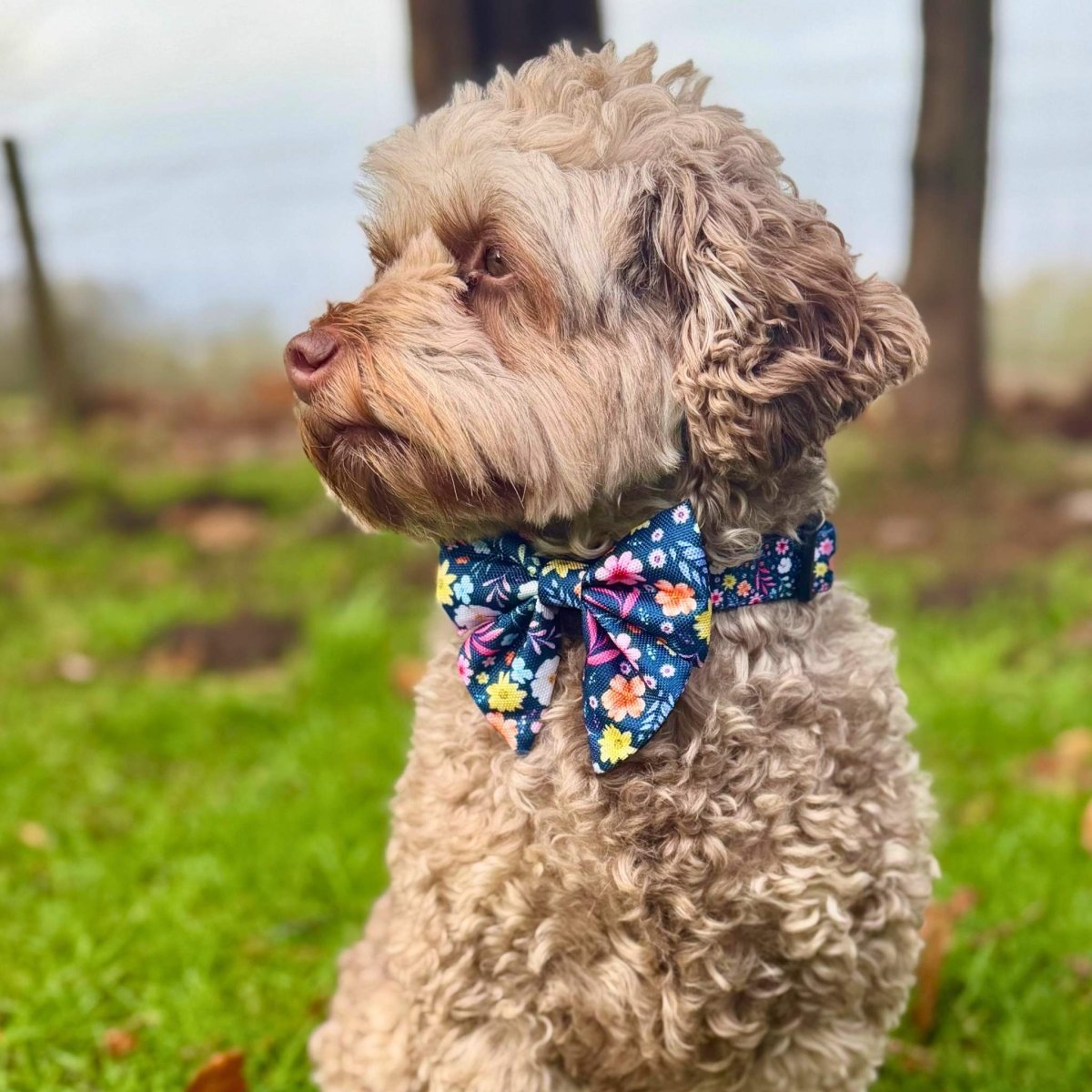Dog Sailor Bow - Summer Meadow