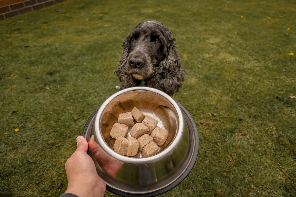 Natures Menu 60/40 Beef Nuggets 1kg