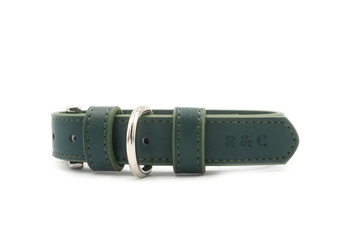 Green Lignify Dog Collar