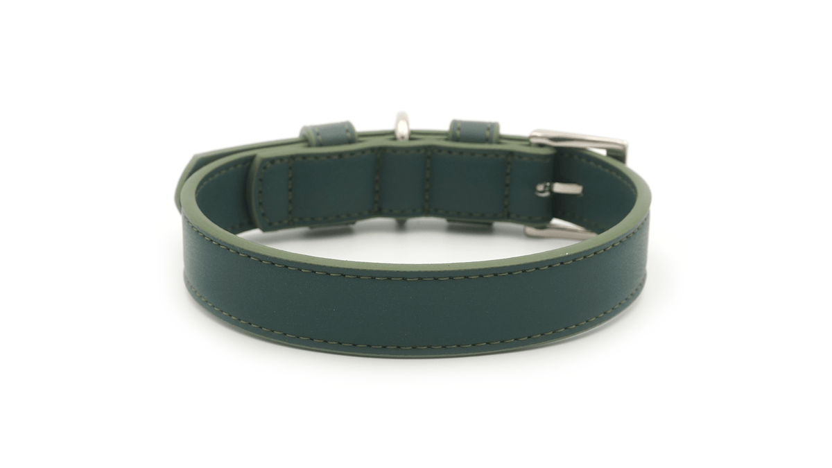 Green Lignify Dog Collar