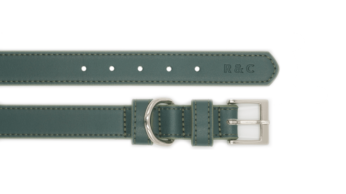 Green Lignify Dog Collar