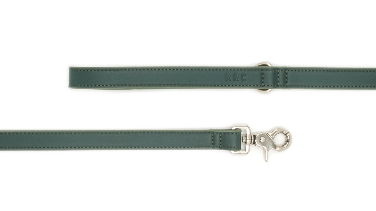 Green Lignify Dog Lead