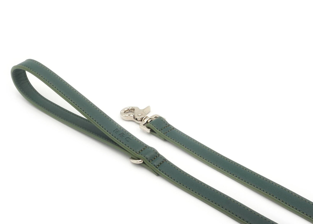 Green Lignify Dog Lead