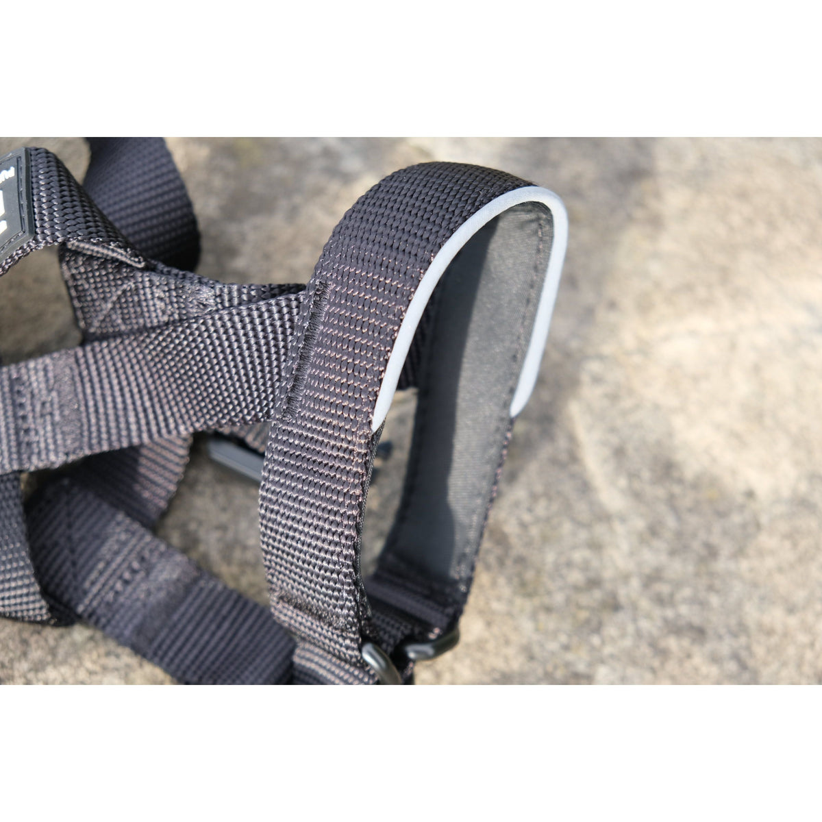 2.5cm Head Collars