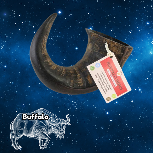 Buffalo Horn - Large