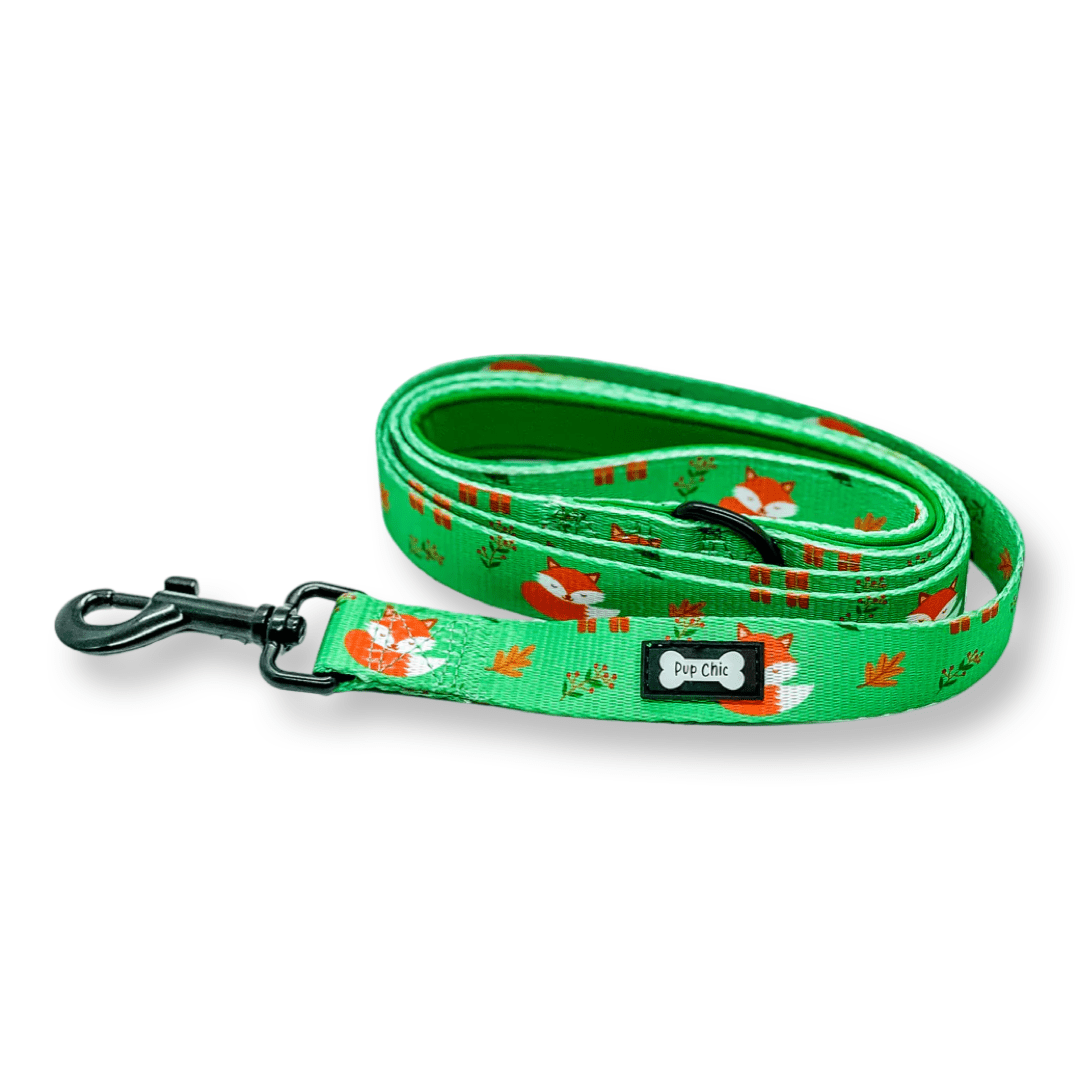 Inquisitive Fox 5ft Dog Lead