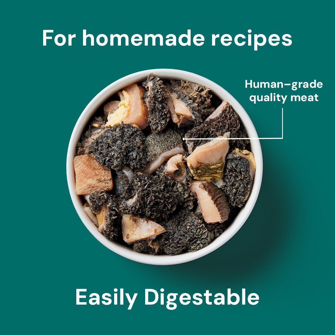  bowl of pet food with text 'For homemade recipes', 'Human-grade quality meat', and 'Easily Digestable' on a green background