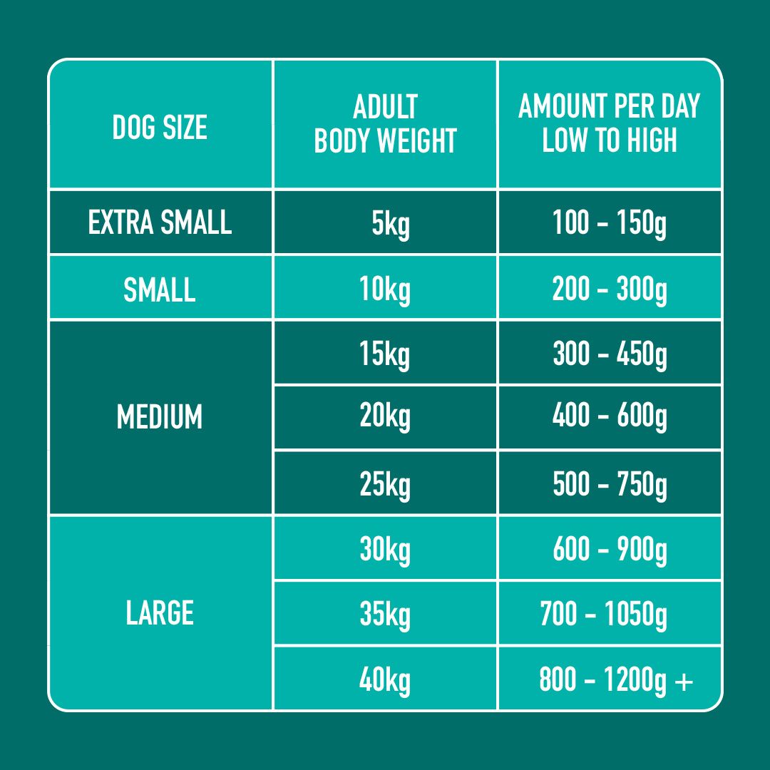 Table showing dog size, adult body weight, and amount of food per day on a teal background