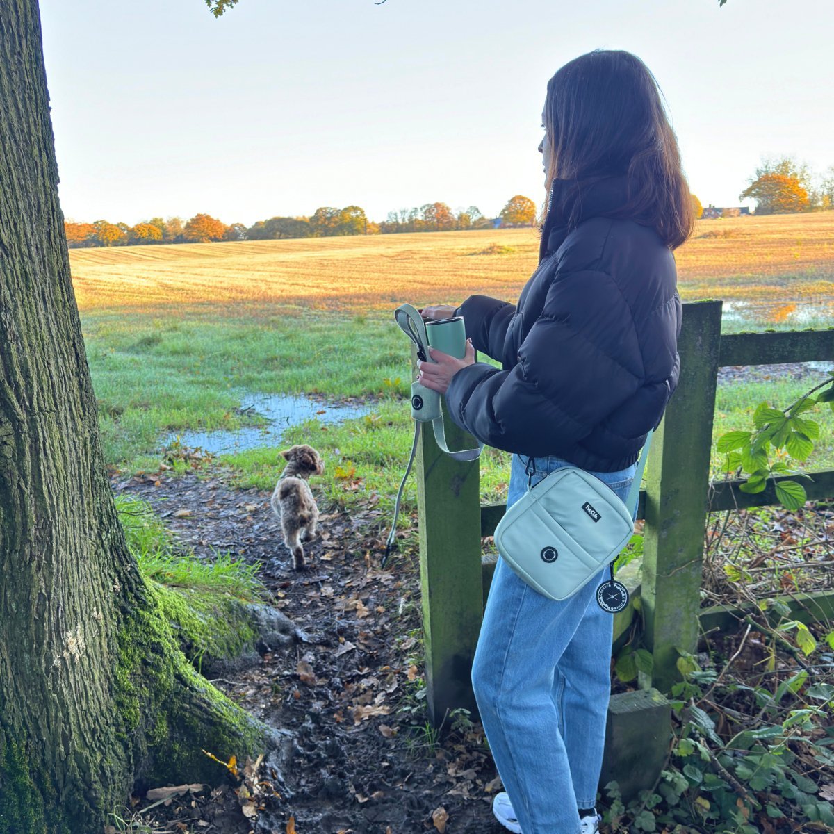 Mini Dog Walking Bag - Sage Green