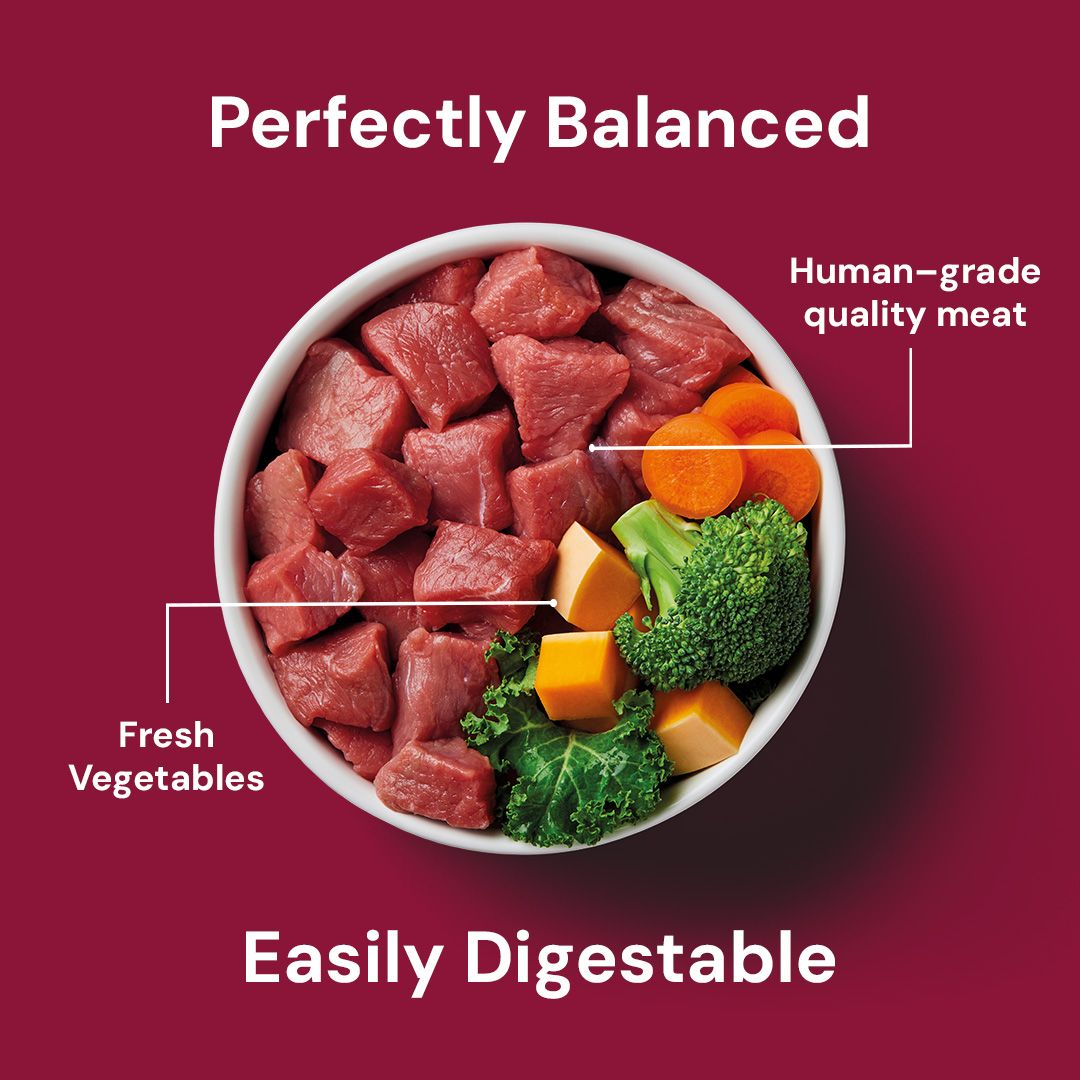 Nutriment Core Boneless Beef raw dog food – official beef and vegetable ingredient illustration
