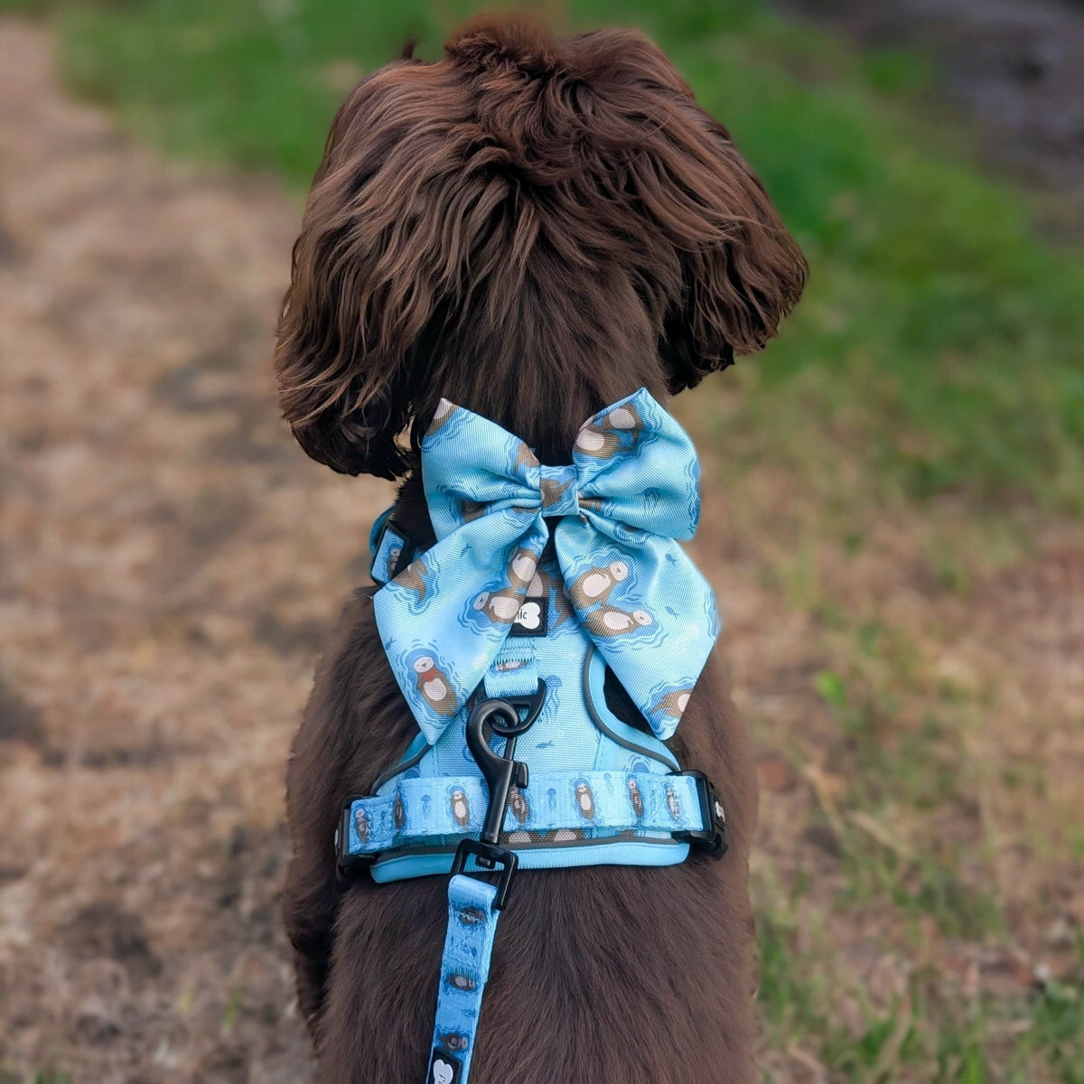 Otterly Lovely Sailor bow 🦦💙