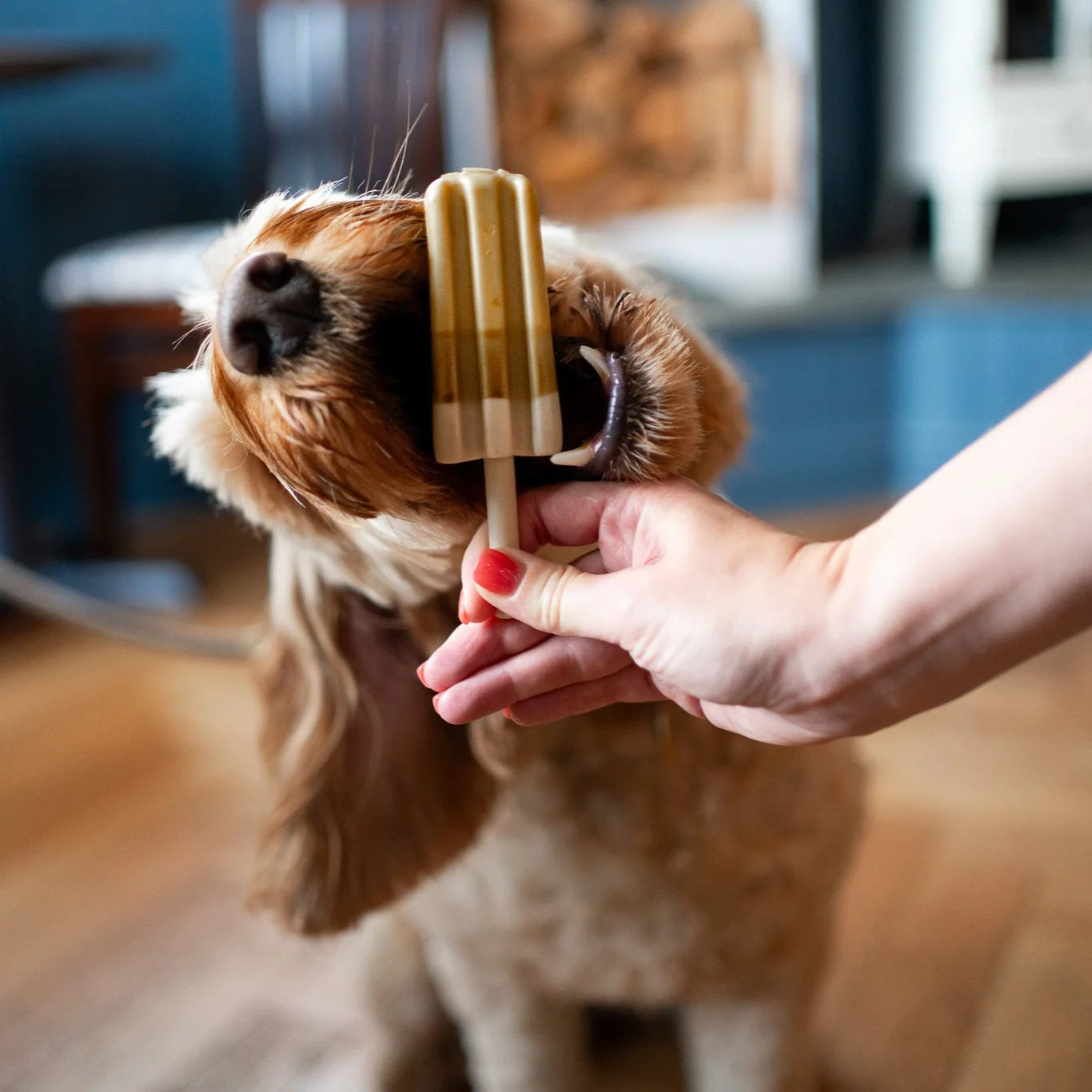 Peanut Butter & Banana Pop Ice for Dogs (frozen ice cream)