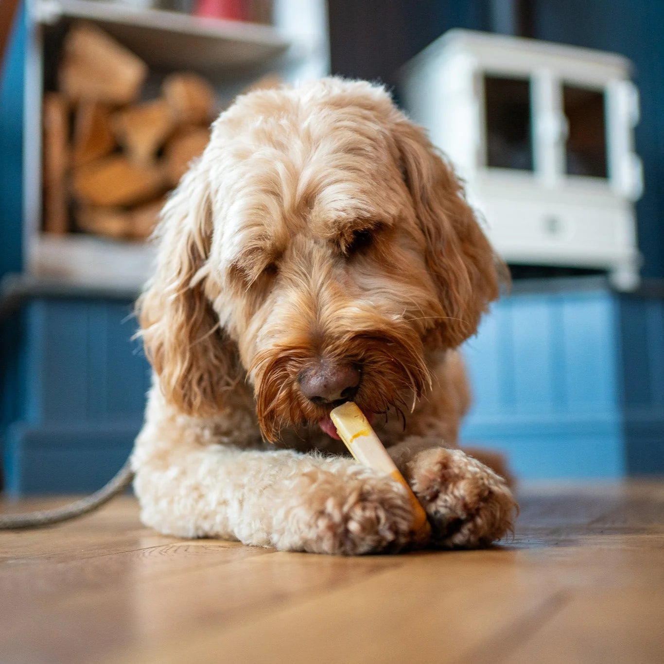 Peanut Butter & Banana Pop Ice for Dogs (frozen ice cream)