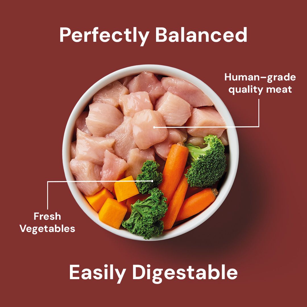  bowl of human-grade quality meat and fresh vegetables on a brown background