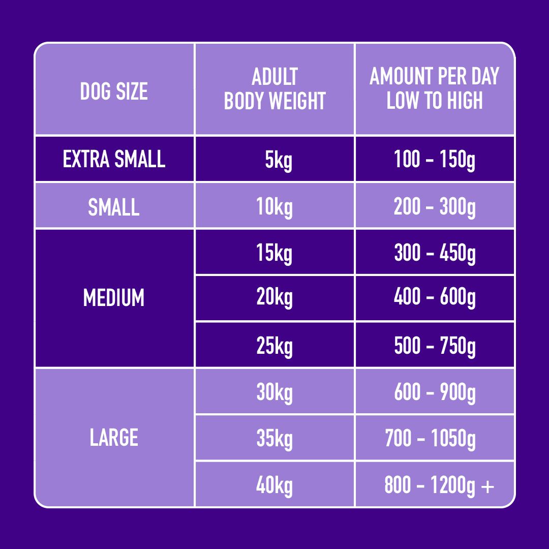 Table showing dog size, adult body weight, and amount of food per day on a purple background