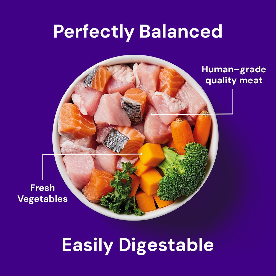  bowl of human-grade quality meat and fresh vegetables with text on a purple background