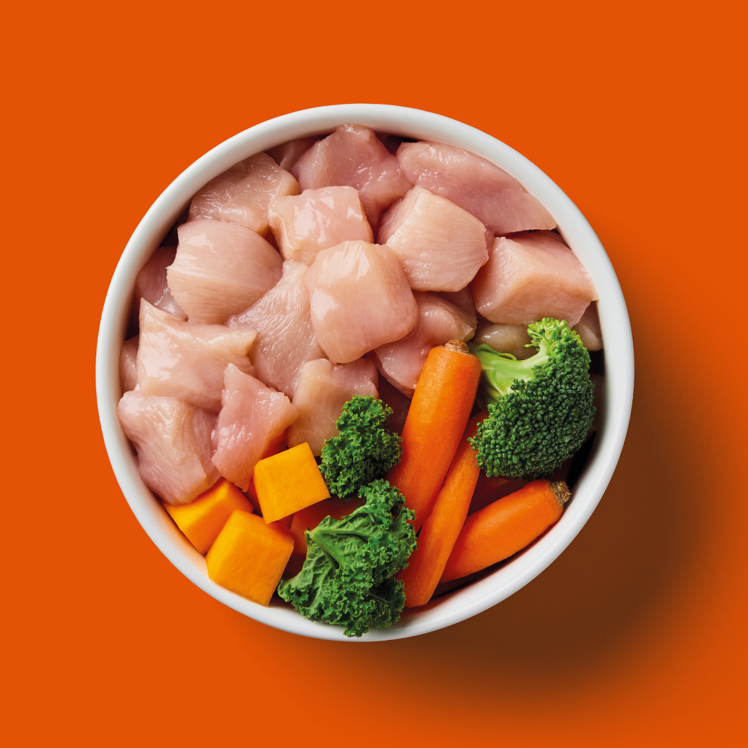 Raw chicken pieces with carrots and broccoli in a white bowl on an orange background