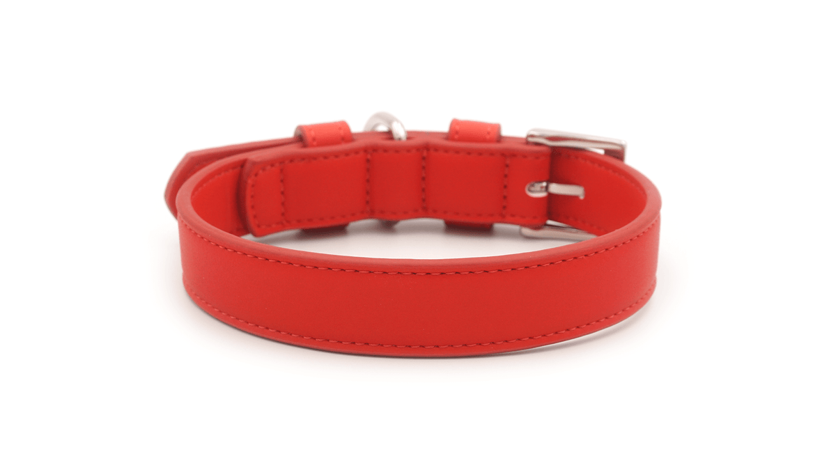 Red Lignify Dog Collar