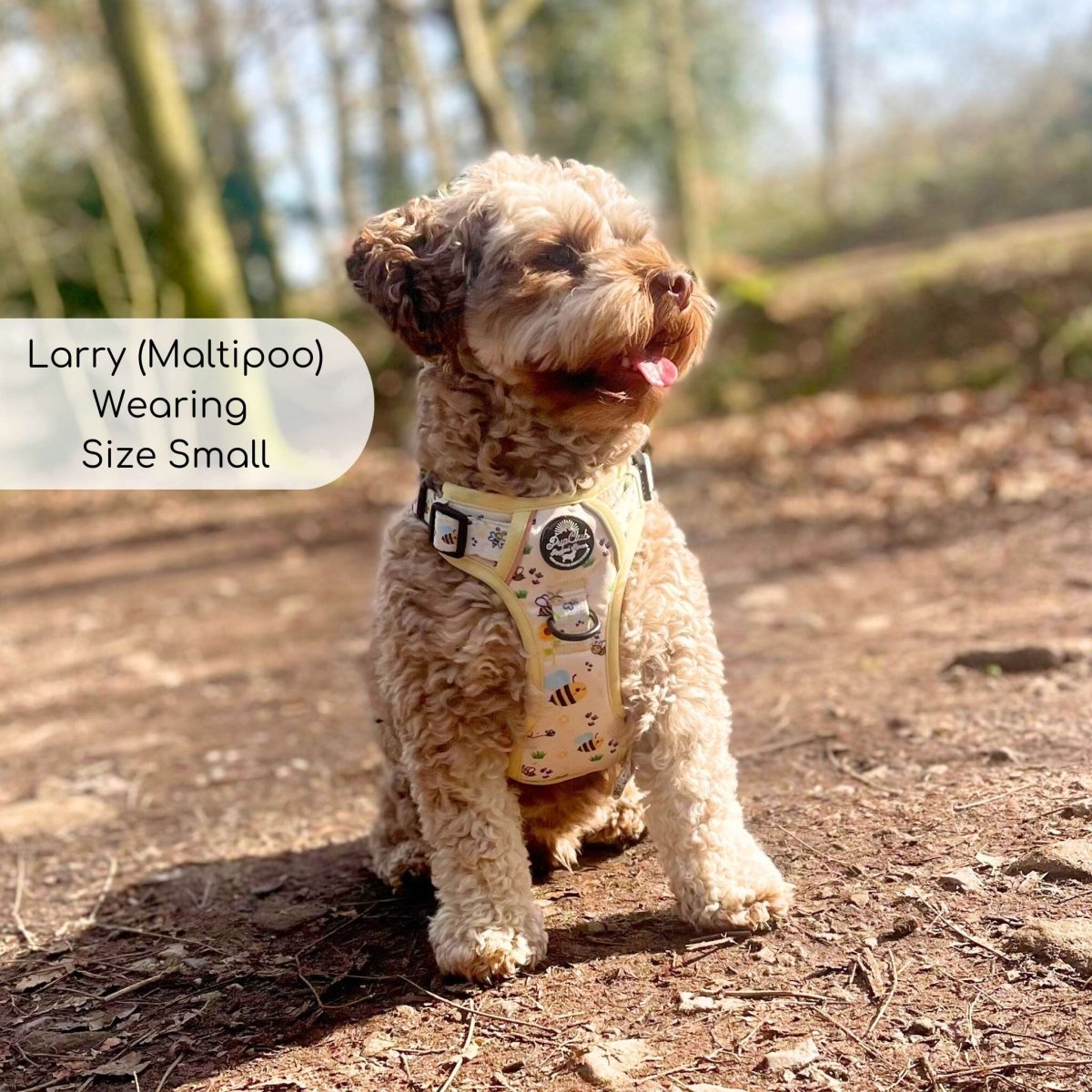 Rugged Rover™ Harness - Bee-utiful Summer