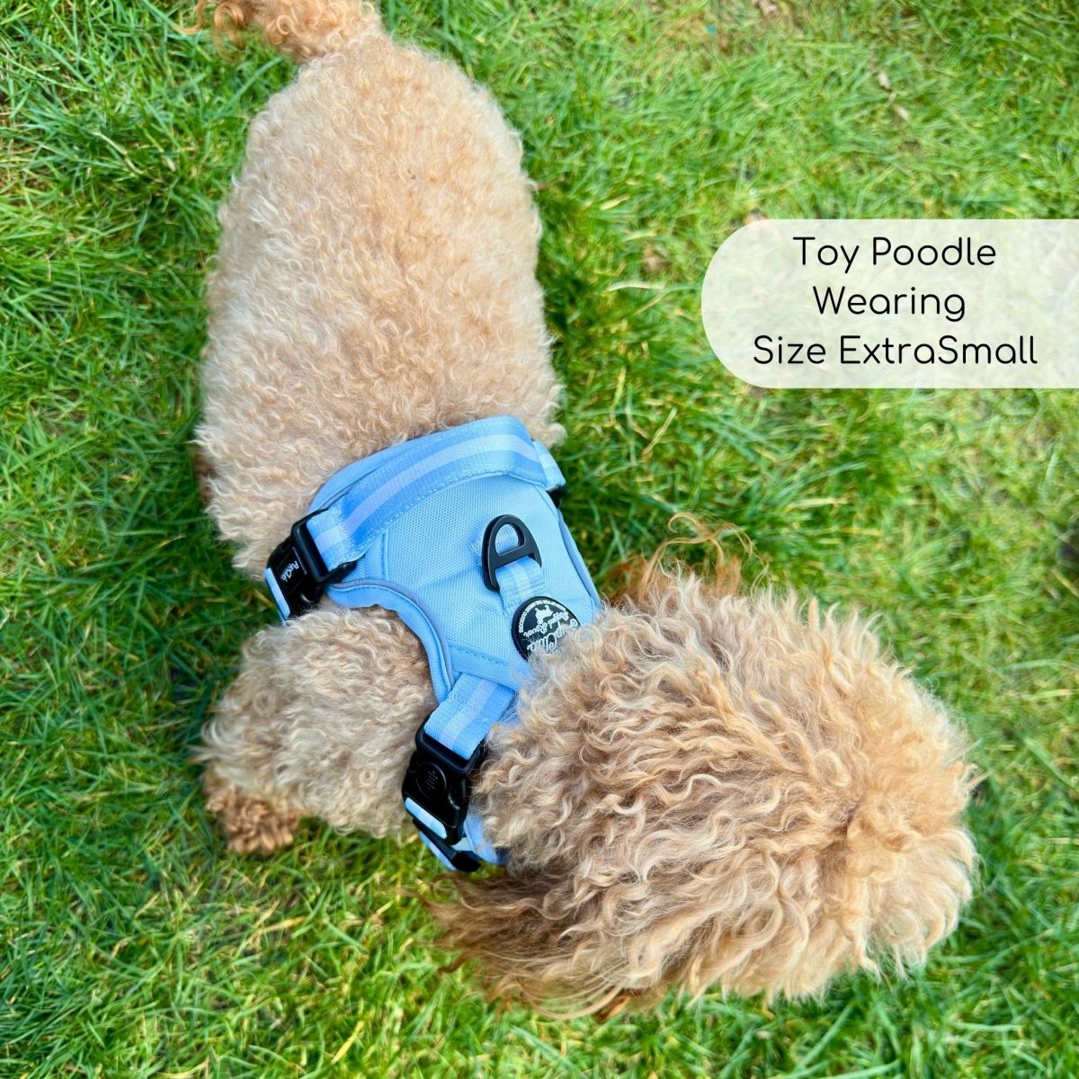 Rugged Rover™ Harness - Pastel Blue