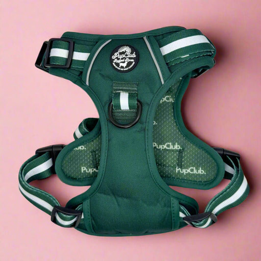 Rugged Rover™ Harness - Forest Green