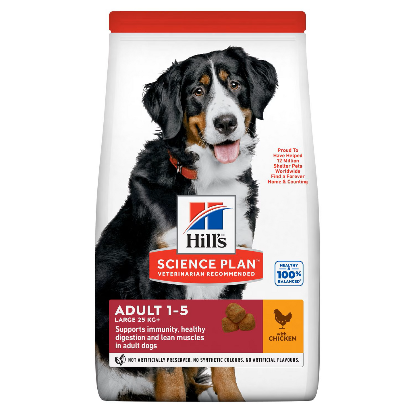 Hills - Adult Large Breed Dry Dog Food with Chicken