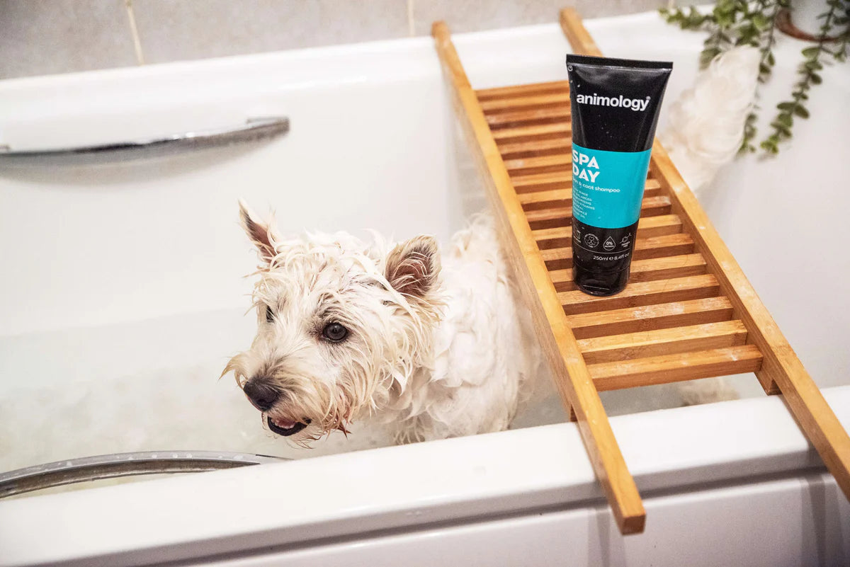 Animology Spa Day Skin and Coat Shampoo