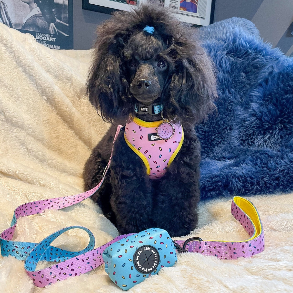 Sprinkles For Days Collar - pink or blue sprinkles dog collar