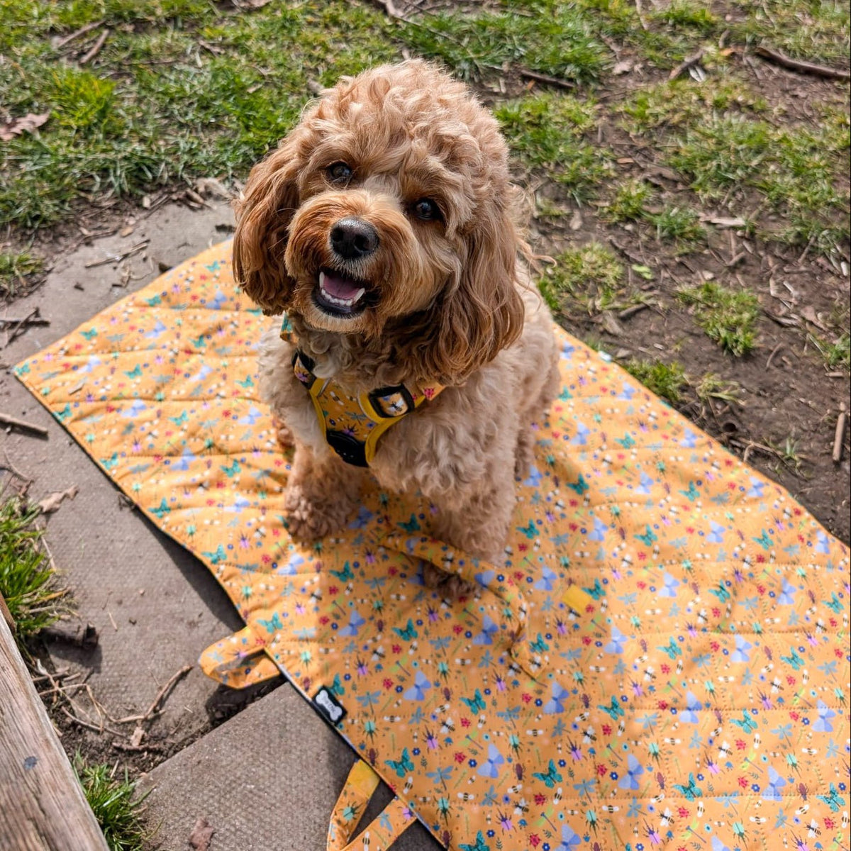 Summer Buzzin' Dog Settle Mat – Lightweight, Waterproof & Travel-Friendly