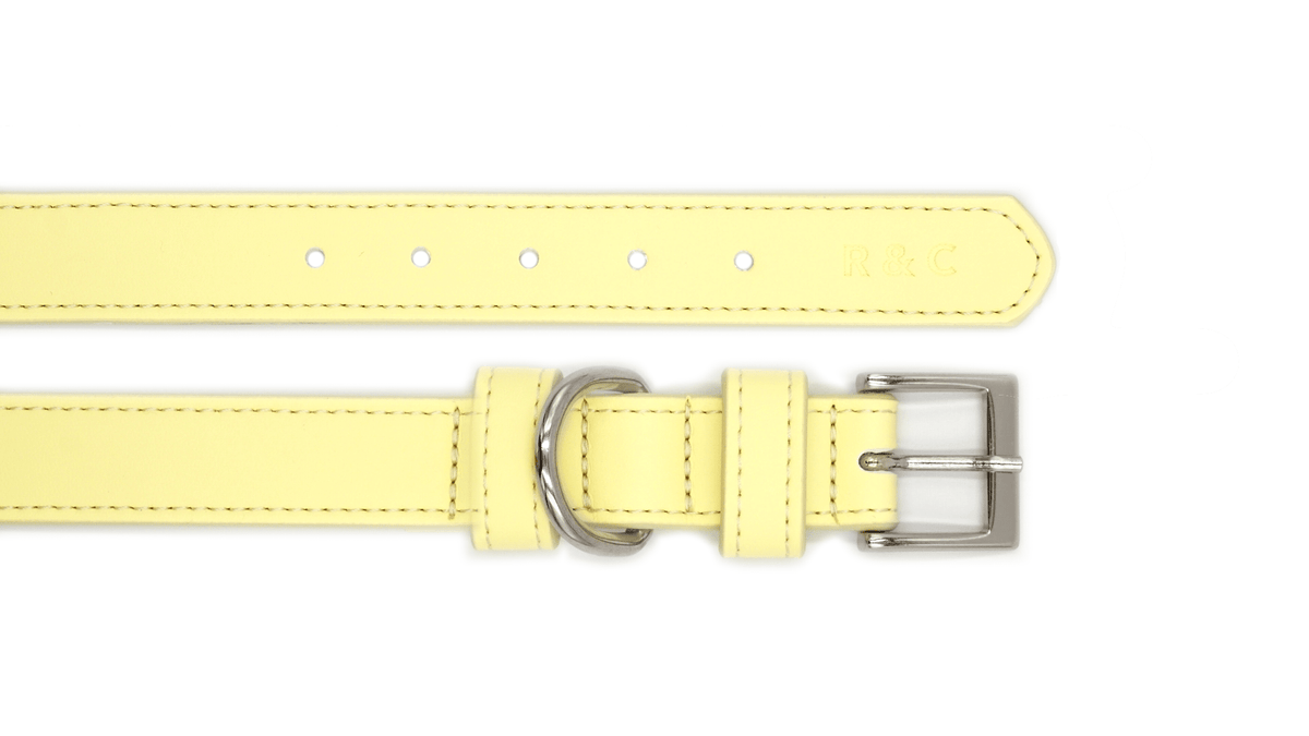 Yellow Lignify Dog Collar