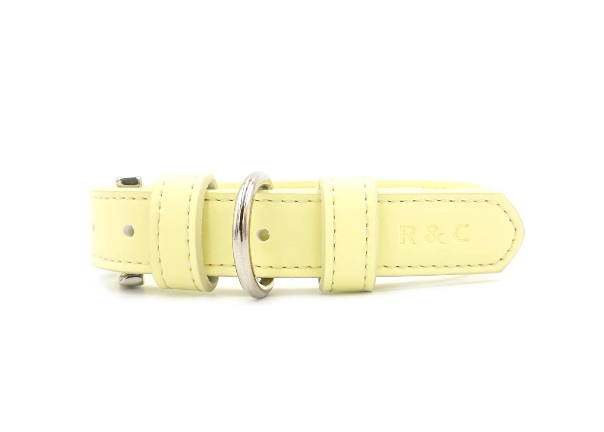 Yellow Lignify Dog Collar