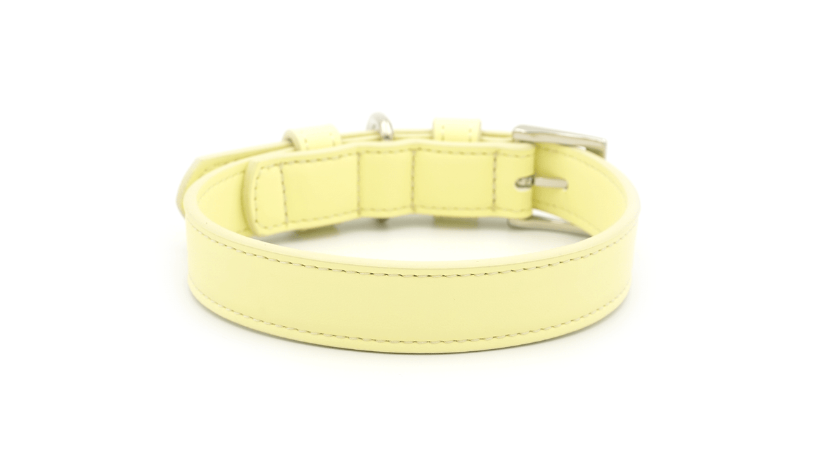 Yellow Lignify Dog Collar