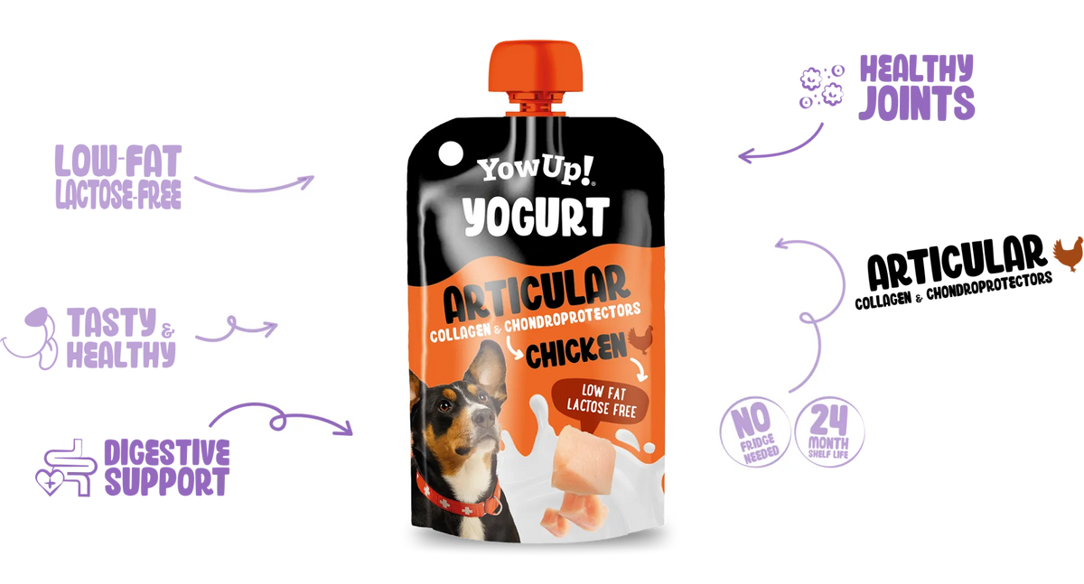 YowUp! Articular Chicken Joint Care Yoghurt for Dogs 115g – product packaging