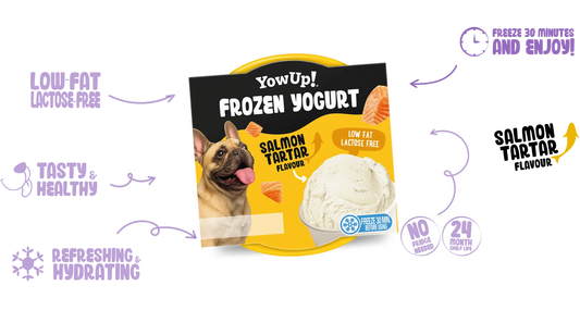 YowUp! Salmon Tartar Frozen Yoghurt for Dogs & Cats 110g – product packaging