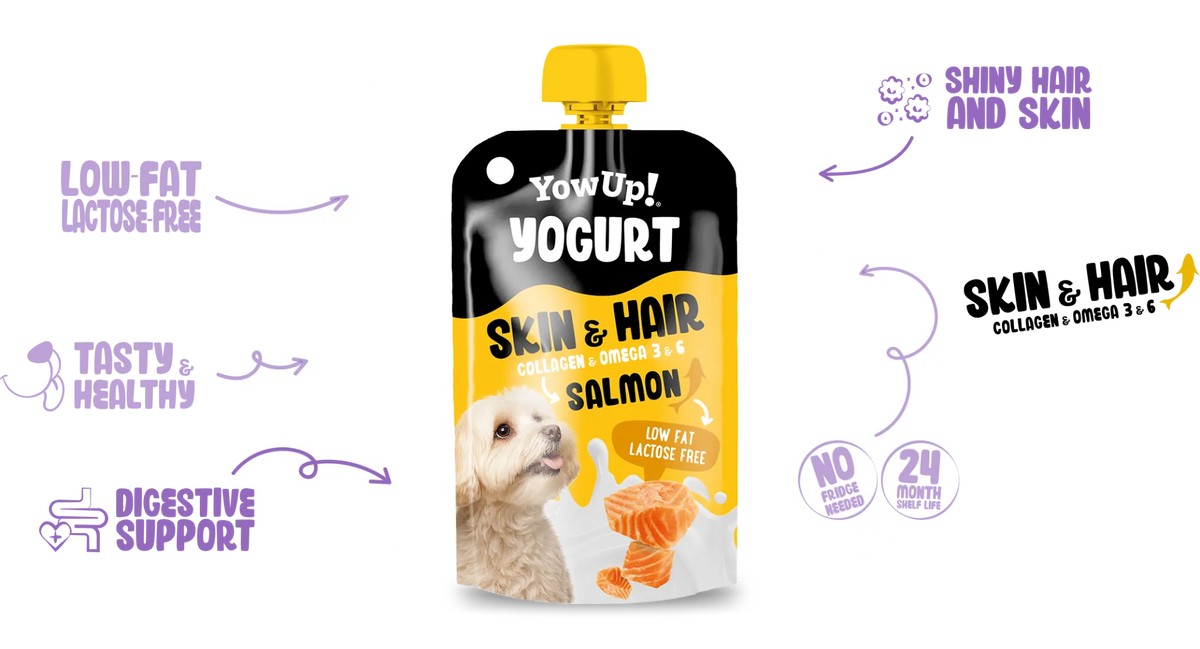 YowUp! Skin & Hair Salmon Yoghurt for Dogs 115g – product packaging
