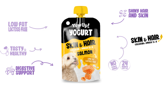YowUp! Skin & Hair Salmon Yoghurt for Dogs 115g – product packaging