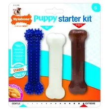 Nylabone Puppy Starter Kit