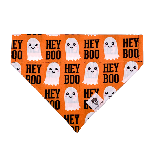 Hey Boo Halloween Slip-On Dog Bandana