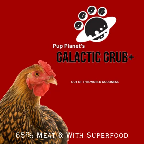 SUPERFOOD RANGE - Galactic Grub+ Chicken (Years 1-6) with SUPERFOOD