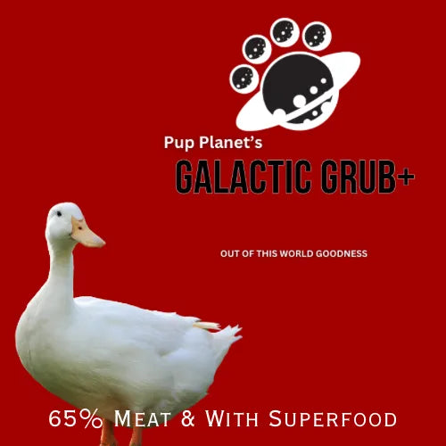 SUPERFOOD RANGE - Galactic Grub+ Duck (Years 1-6) with SUPERFOOD