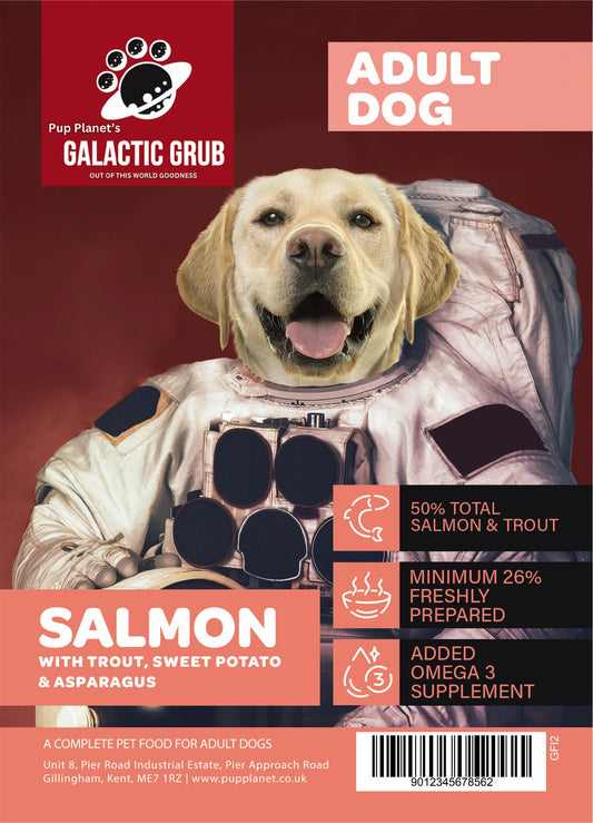 Galactic Grub Salmon (Years 1-6)