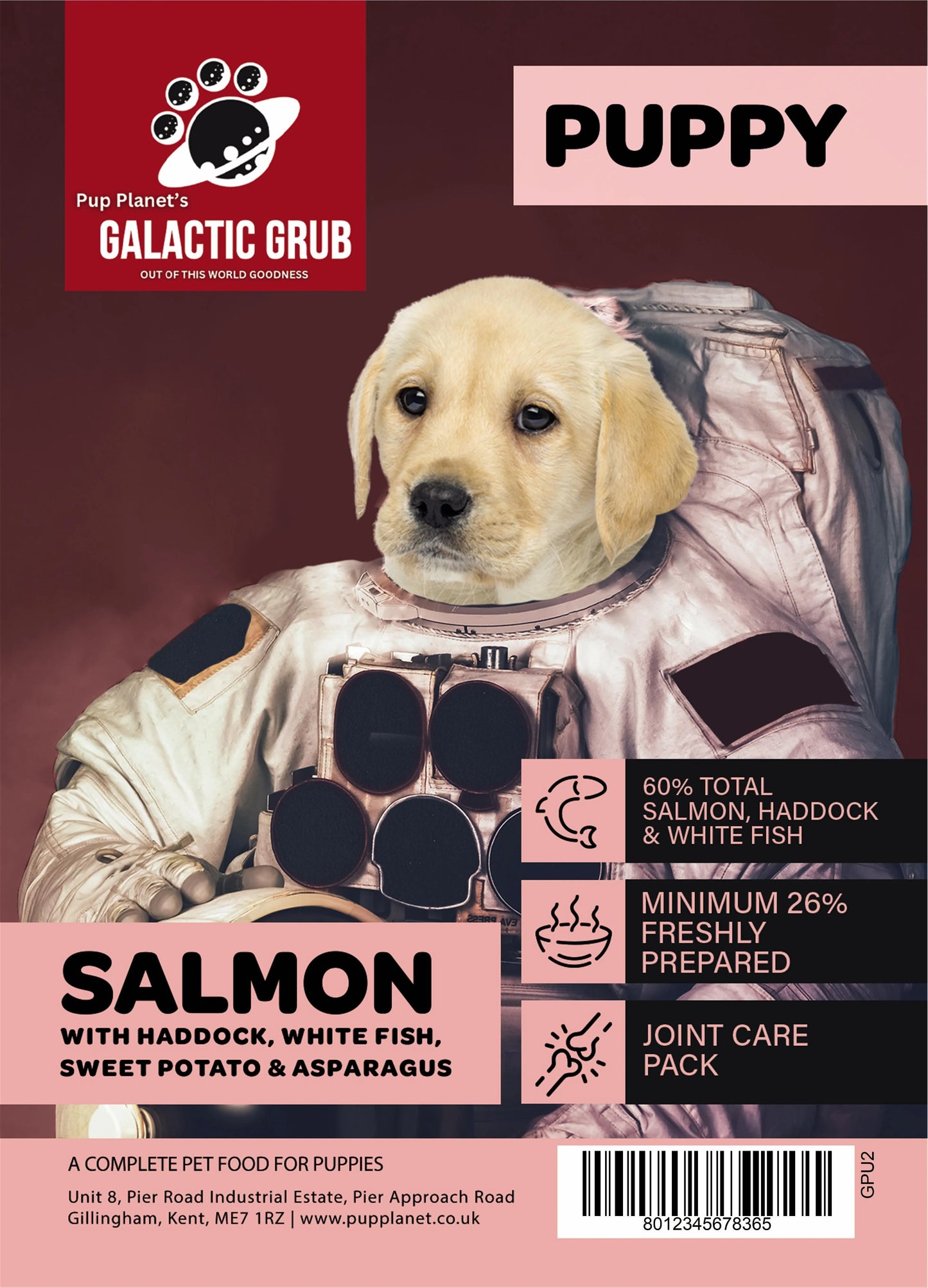 Galactic Grub Salmon (Puppy)