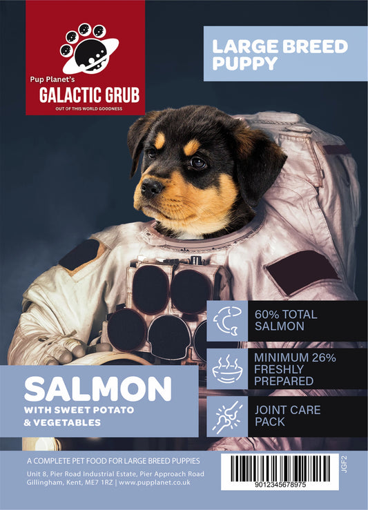 Galactic Grub Salmon (Large Breed, Puppy)