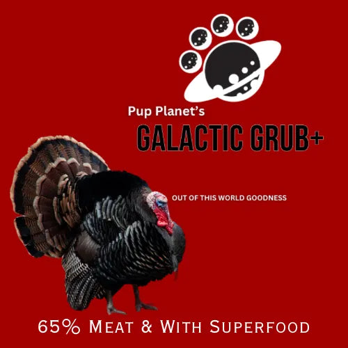 SUPERFOOD RANGE - Galactic Grub+ Turkey (Small Breed, Years 7+) with SUPERFOOD