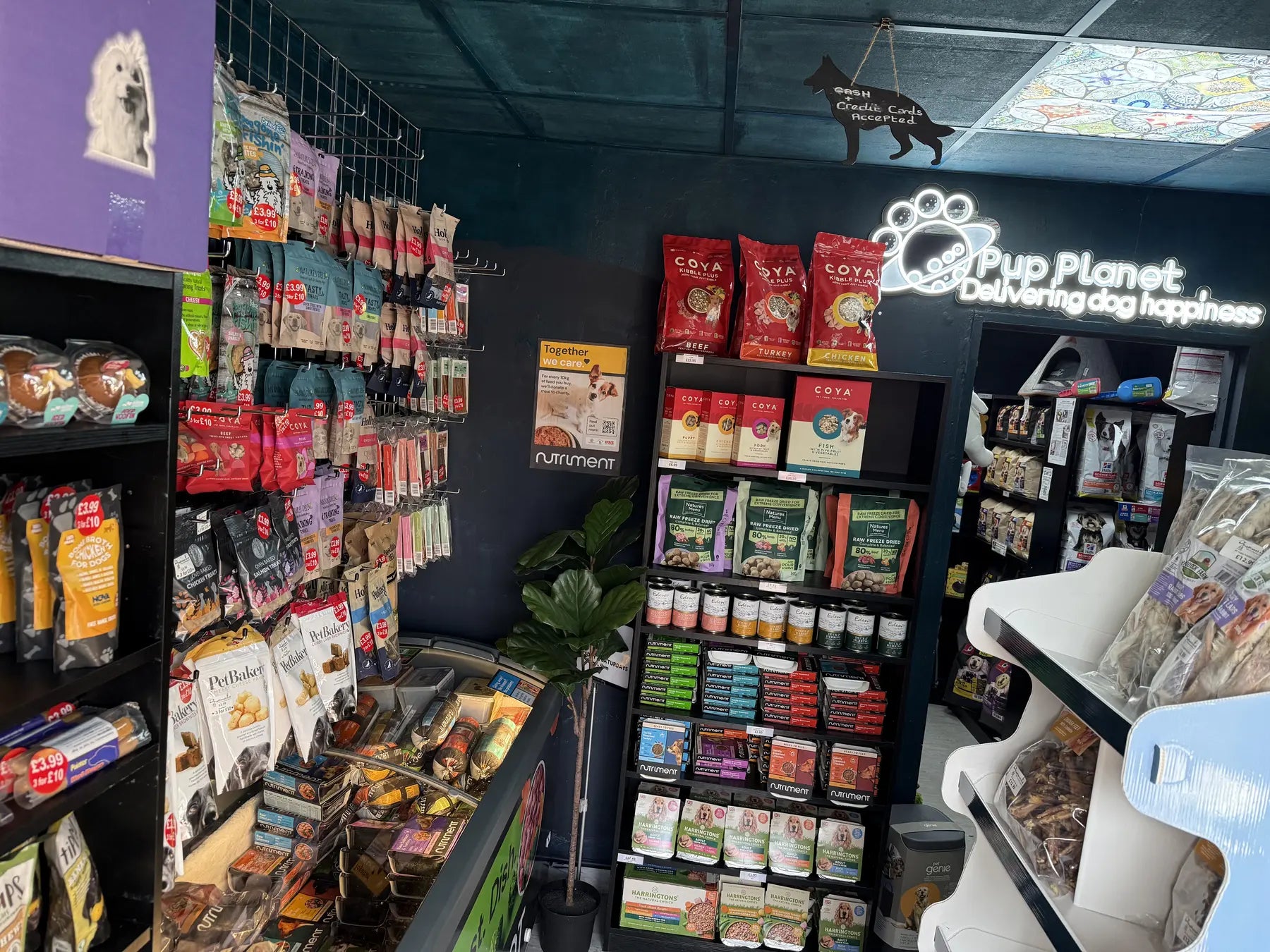 Inside Pup Planet's Gillingham shop
